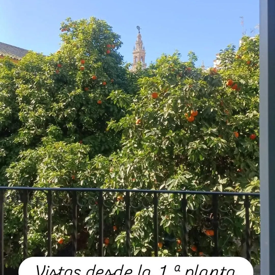Appartamento Apartamentos En La Plaza Dona Elvira, 7 Siviglia