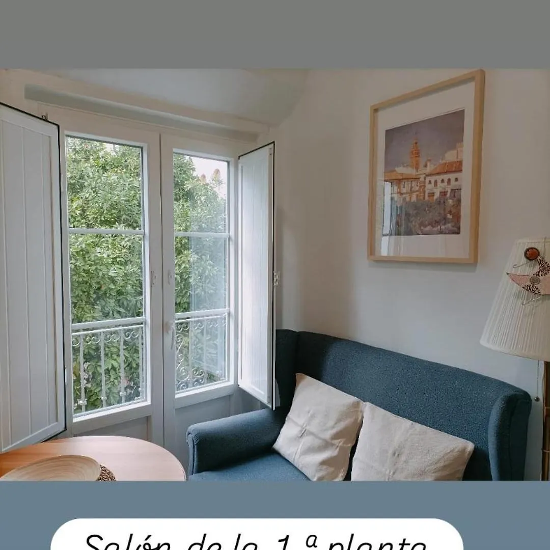 Apartamentos En La Plaza Dona Elvira, 7 Siviglia 0*,  Spagna